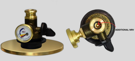 Anvi's Premium Gas Safety Device