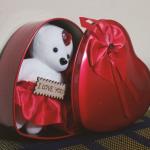 Bear Rose Gift Box - Romantic Teddy Bear Gift with Roses